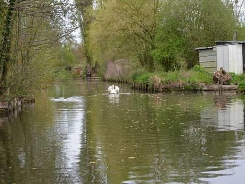 Camping  Aux Cygnes d'Opale - Camping Seine-Maritime - Image N°39