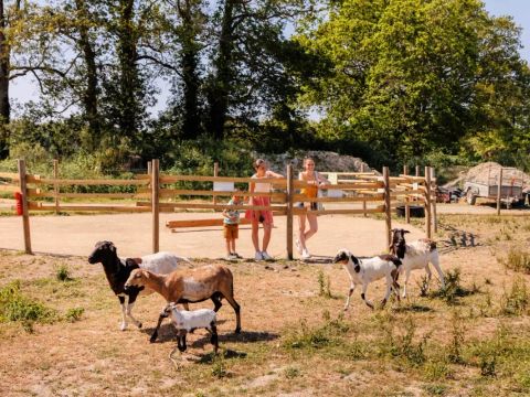 Camping maeva Escapades le Bois Joli - Camping Vendée - Image N°9