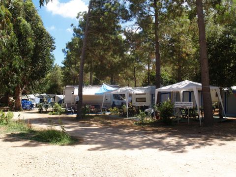 Camping Campo di Liccia - Camping Corse du Sud - Image N°18