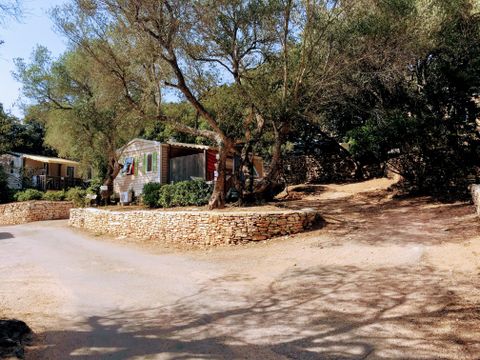 Camping Campo di Liccia - Camping Corse du Sud - Image N°22