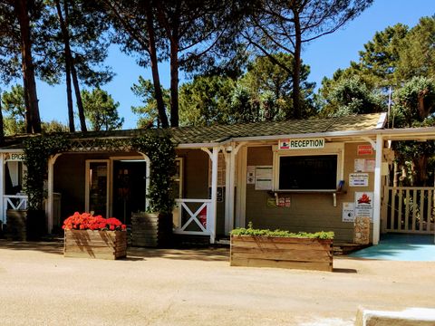 Camping Campo di Liccia - Camping Corse du Sud - Image N°23