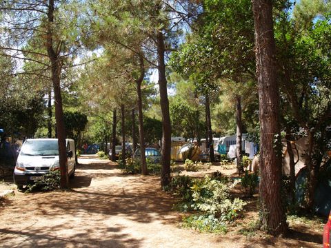 Camping Campo di Liccia - Camping Corse du Sud - Image N°17