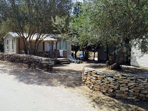 Camping Campo di Liccia - Camping Corse du Sud - Image N°21