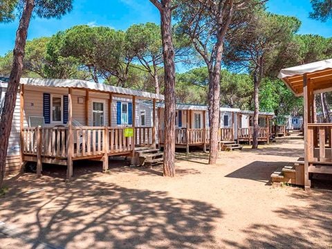 MOBILE HOME 4 people - Comfort XL | 2 Bedrooms | 4 Pers | Covered Terrace | Air Conditioning