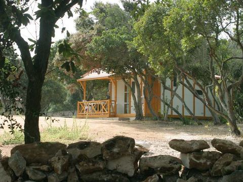 Camping Cavallo Morto - Camping Southern Corsica - Image N°19