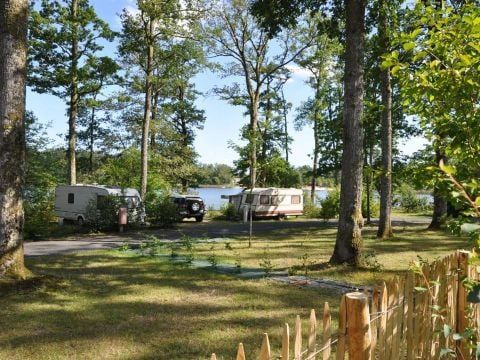 Camping du Grand Etang de Saint-Estèphe - Camping Dordogne - Image N°13