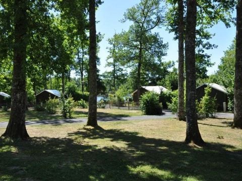 Camping du Grand Etang de Saint-Estèphe - Camping Dordogne - Image N°28