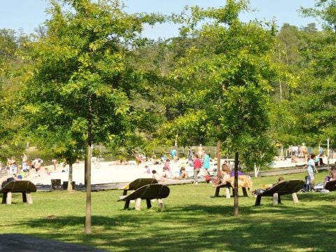 Camping du Grand Etang de Saint-Estèphe - Camping Dordogne - Image N°14