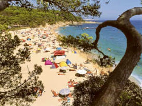 Camping International de Calonge - Camping Girona - Afbeelding N°2