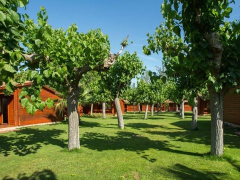 Camping La Llosa   - Camping Tarragone - Image N°27