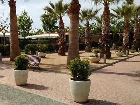 Camping Platja Cambrils - Camping Tarragona - Image N°61