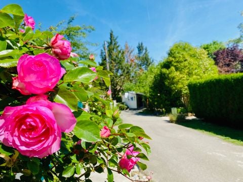 Camping Flower La Pibola - Camping Ariège - Image N°33