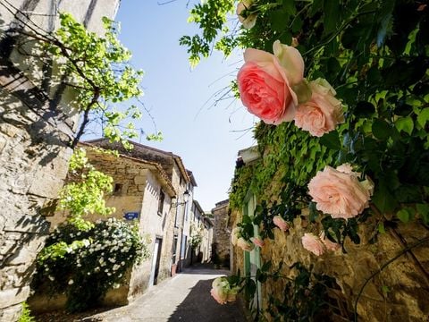 Camping Flower La Pibola - Camping Ariège - Image N°66