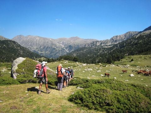 Camping Flower La Pibola - Camping Ariège - Image N°54