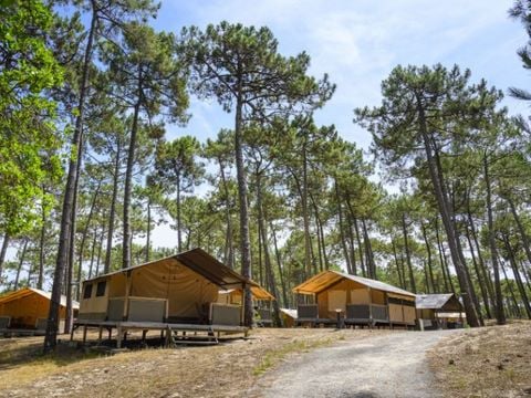 CANVAS AND WOOD TENT 5 people - LODGE CONFORT