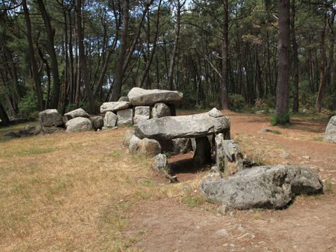 Camping la Grande Métairie - Camping Morbihan - Image N°45