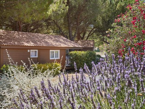 Résidence Odalys Shangri-La - Camping Bouches-du-Rhône - Image N°21