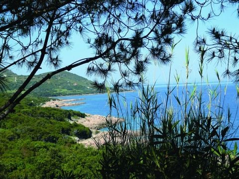 Camping Via Romana  - Camping Northern Corsica - Image N°37