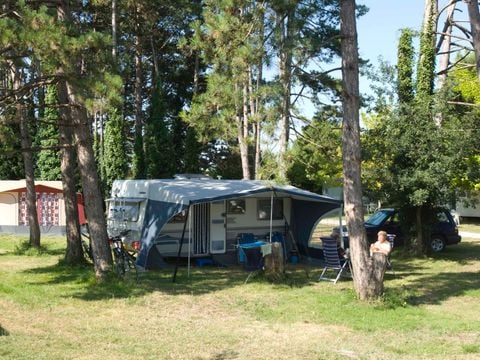 Camping Du Pas Des Biches - Camping Charente-Maritime