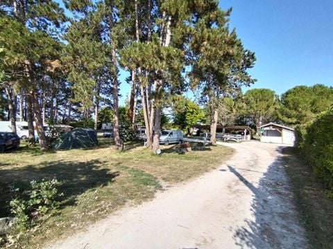 Camping Du Pas Des Biches - Camping Charente-Maritime - Image N°12