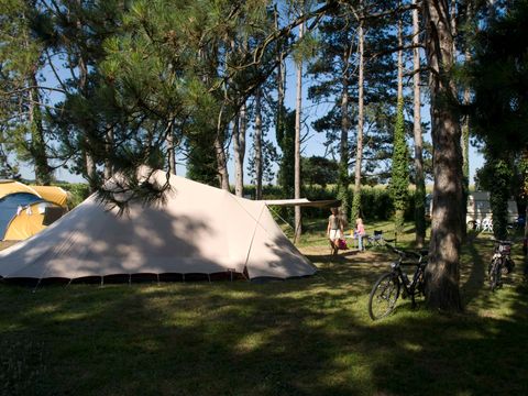 Camping Du Pas Des Biches - Camping Charente-Maritime - Image N°2