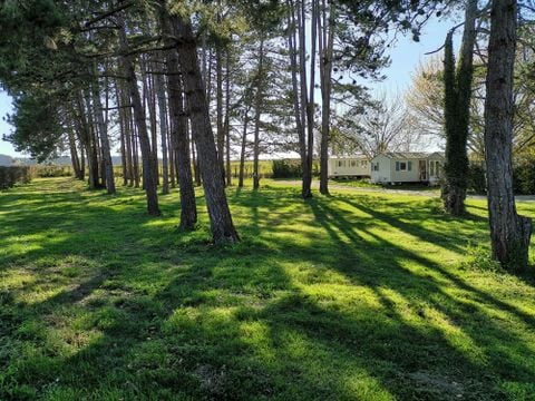 Camping Du Pas Des Biches - Camping Charente-Maritime - Image N°17