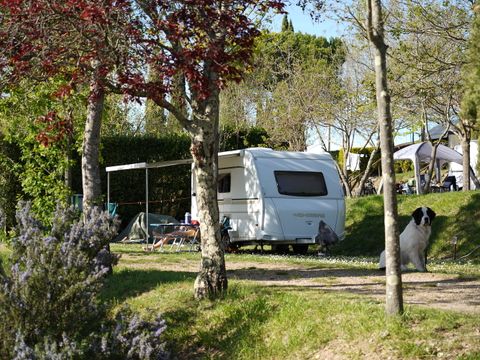 Camping Panorama Del Chianti  - Camping Florence - Image N°32