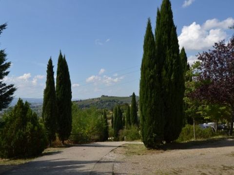 Camping Panorama Del Chianti  - Camping Florence - Image N°8