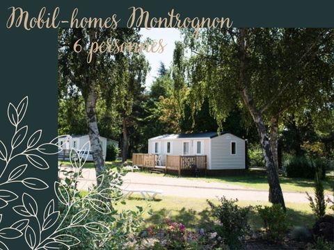 MOBILE HOME 6 people - Montrognon - 3 bedrooms