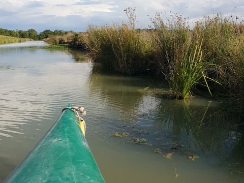 Camping L'île Cariot - Camping Vendée - Image N°87