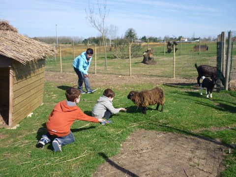 Camping Le Ragis - Camping Vendée - Image N°27