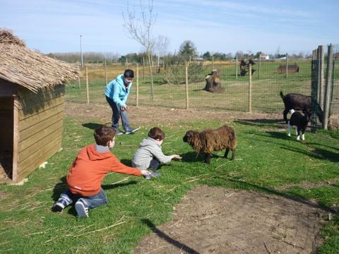 Camping Le Ragis - Camping Vendée - Image N°36