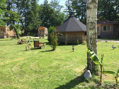 Camping Le Petit Robinson - Camping Nievre - Image N°16