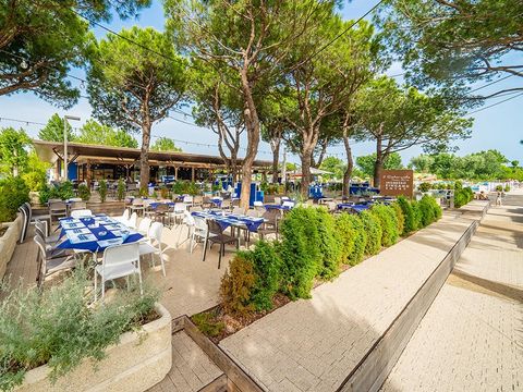 Camping Marina Di Venezia - Camping Venise - Image N°34