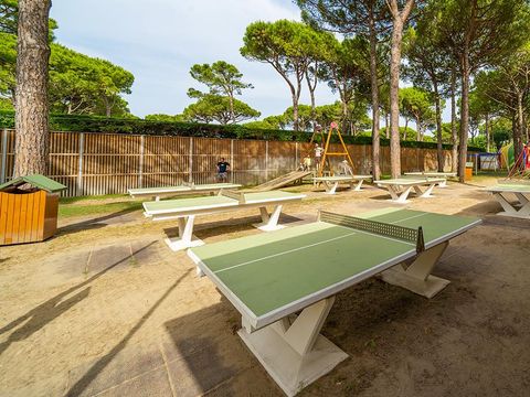 Camping Marina Di Venezia - Camping Venise - Image N°30