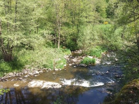 Camping Le Moulin Brûlé - Camping Loire - Image N°13