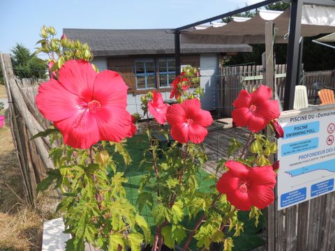 CHALET 4 people - NORMANDY