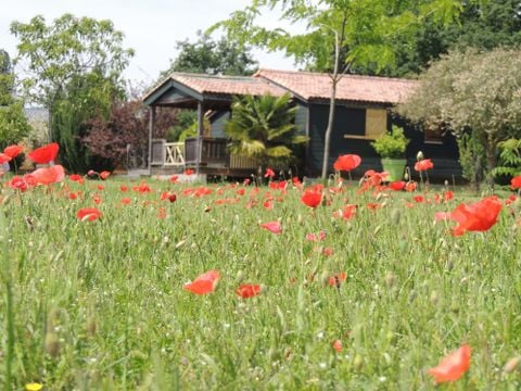 Les Chalets d'Auvergne (GITES EN CHALET) - Camping Allier - Image N°19