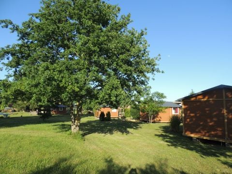 Les Chalets d'Auvergne (GITES EN CHALET) - Camping Allier - Image N°20