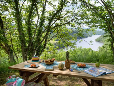 Flower Camping de Mars - Camping Loire - Image N°3