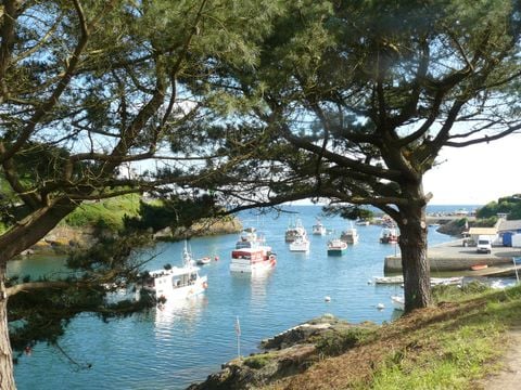 Flower Camping le Kergariou - Camping Finistère - Image N°41