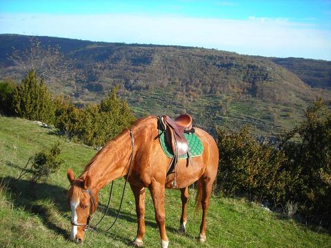 Camping Les Lavandes - Camping Ardèche - Image N°92