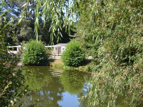 Camping Au Bois de Calais - Camping Corrèze - Image N°6