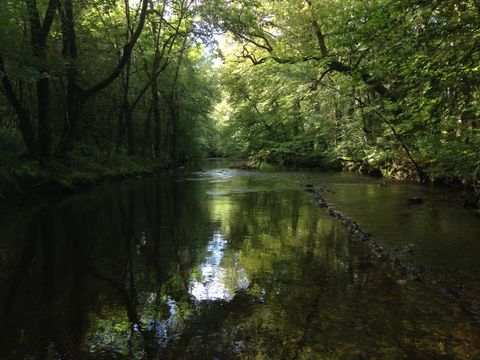 Camping Au Bois de Calais - Camping Corrèze - Image N°21