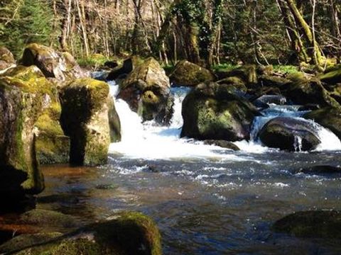 Camping Au Bois de Calais - Camping Corrèze - Image N°17