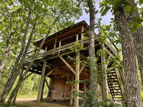 HÉBERGEMENT INSOLITE 6 personnes - Cabane perchée familiale avec jacuzzi dans les bois 1/6 pers