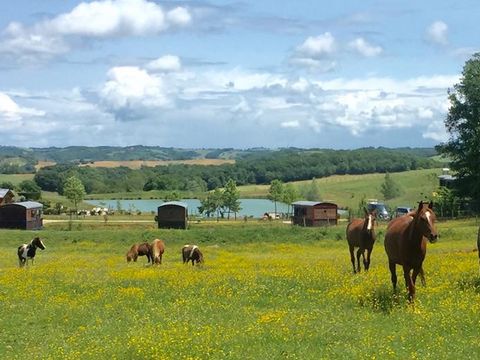 HÉBERGEMENT INSOLITE 5 personnes - Roulotte Gîte 4/5 pers