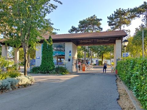 Camping Mare Pineta - Camping Trieste - Image N°61