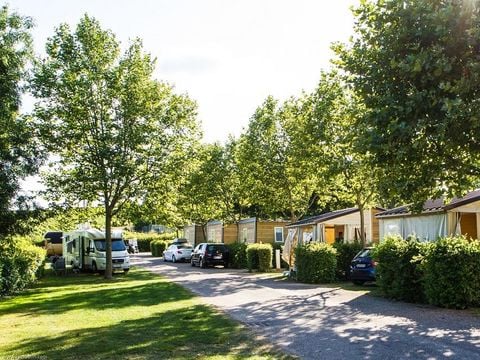 Camping La Grappe Fleurie - Camping Rhône - Image N°39