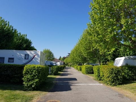 Camping La Grappe Fleurie - Camping Rhône - Image N°9